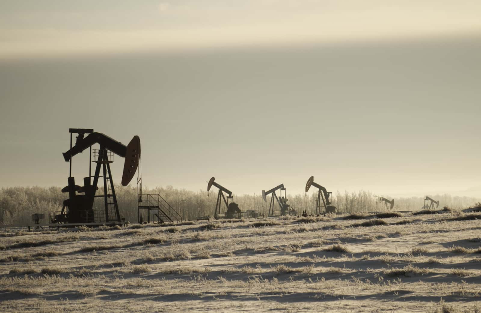 Bombas de extração de petróleo (pumpjacks) em campo coberto de geada