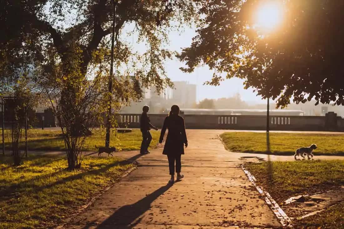 Duas pessoas caminhando em um parque ao entardecer, cada uma passeando com seu cachorro