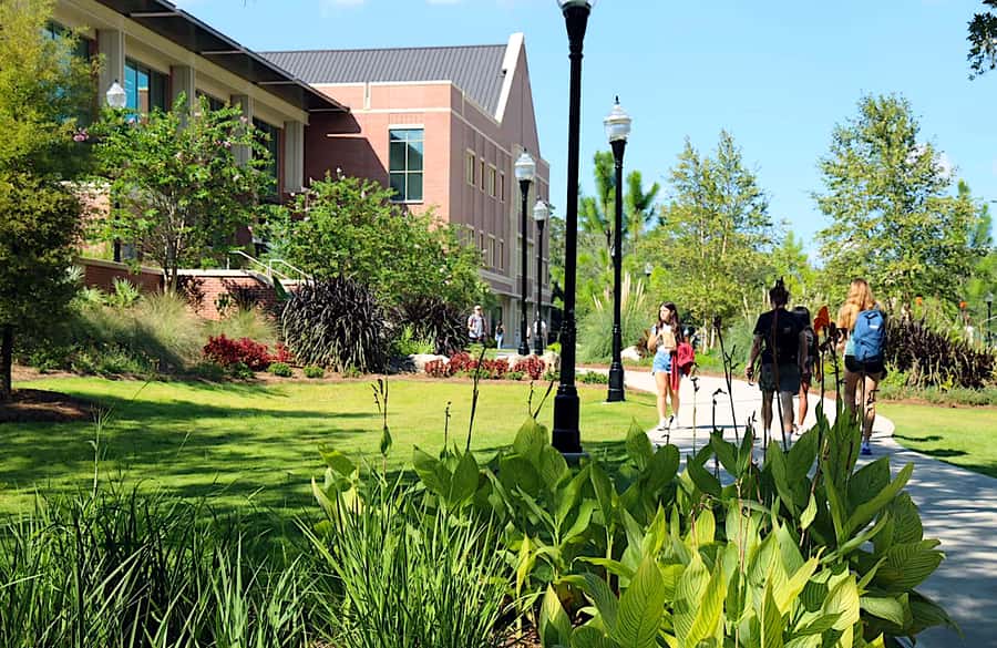 Estudantes caminham por uma alameda arborizada de um campus universitário ensolarado, com prédio de tijolos ao fundo